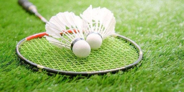 苏州2019年“节能杯”羽毛球比赛即将打响