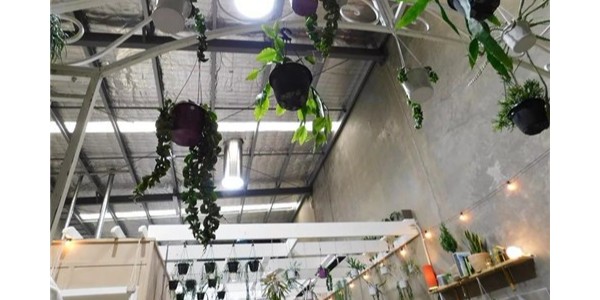 导光管创新植物室内栽培照明零能耗技术