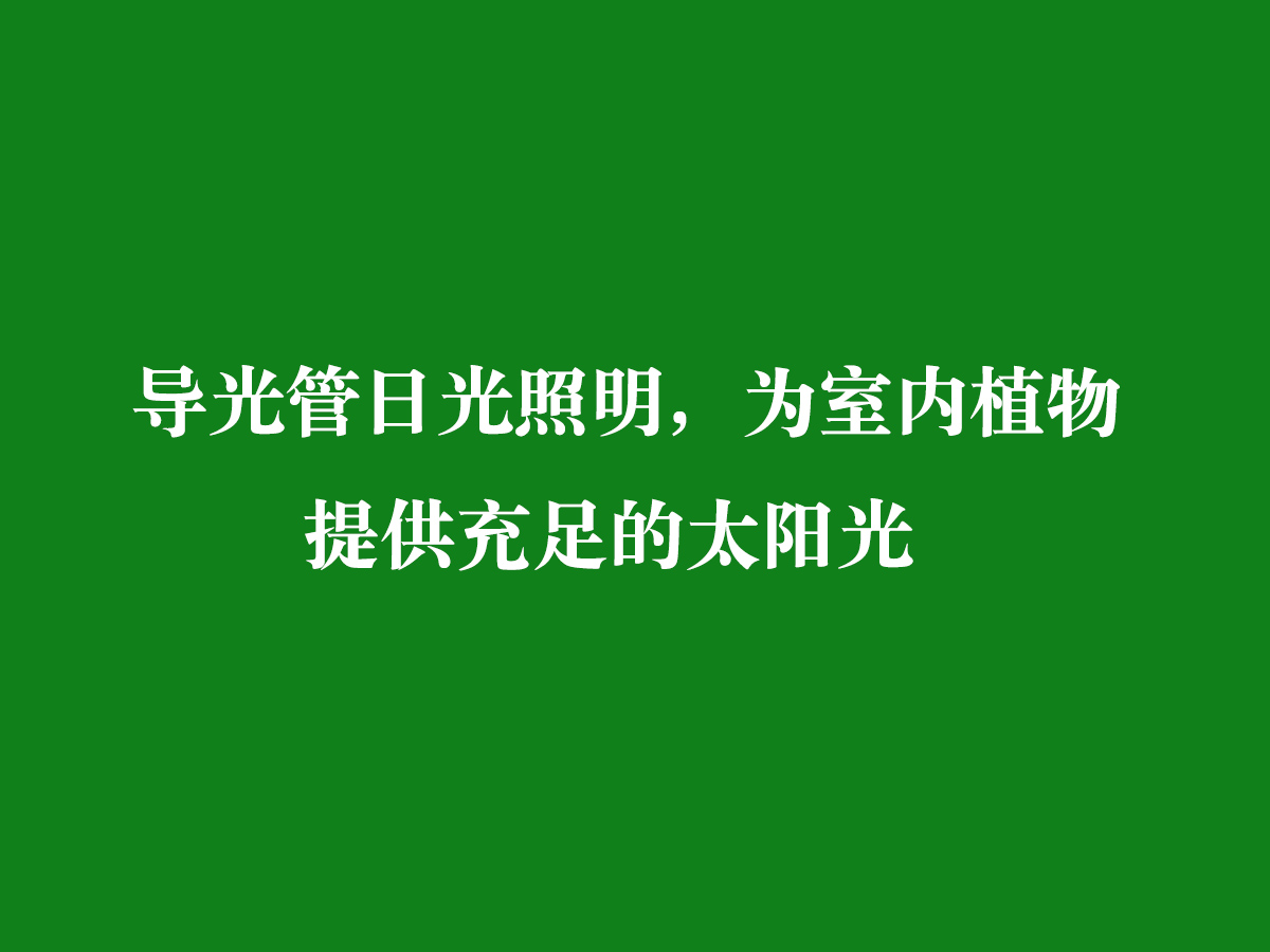 导光管日光照明，为室内植物提供充足的太阳光